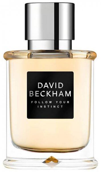 David Beckham Follow Your Instinct - EDT 75 ml | e-Shop Čtyřlístek.eu