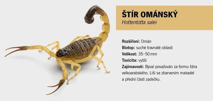 Štíři