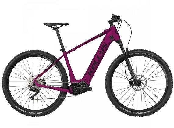 Kellys Tayen R50 2025