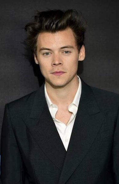 Harry Styles 