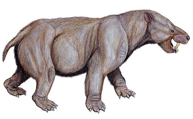 Pantodonta