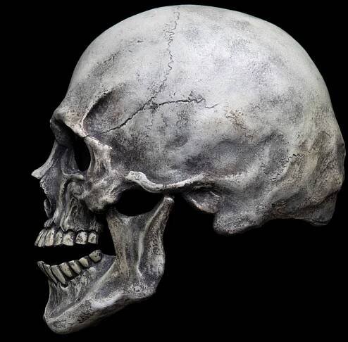 Human Skull mask - Image 6