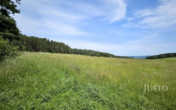 Prodej pozemek pro bydlení - Velké Nepodřice, Dobev, 8 980 m2