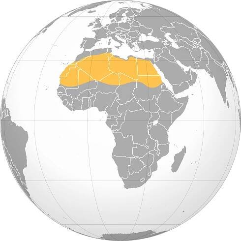 File:Sahara.svg - Wikimedia Commons