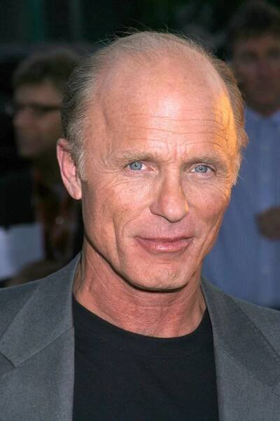 Ed Harris, Los Angeles (17.9.2008) – s_bukley / Shutterstock