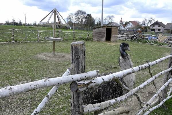 Fatima a tamaríni. Na Statku U Merlina v Chyňavě vítají návštěvníky nová zvířata