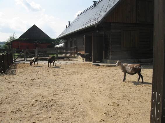 Výlet Čapí hnízdo Spolek důchodců - Horní Třešňovec