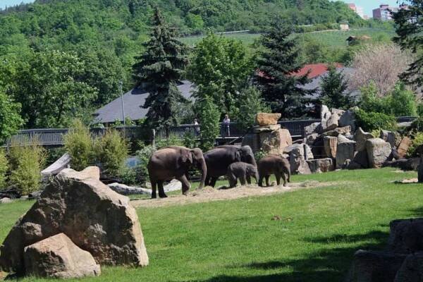Zoo Praha - recenze - Annie's Diary