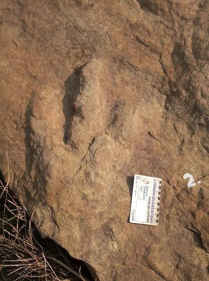 Africans discovered dinosaur fossils long before the term ‘palaeontology’ existed