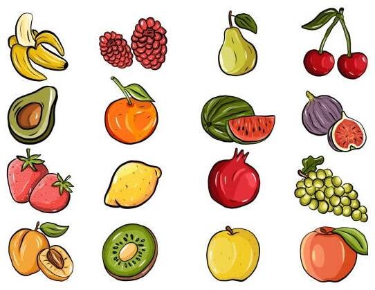 ovoce ručně kreslené vektorové ilustrace. - hrozny ovocný plod stock ilustrace