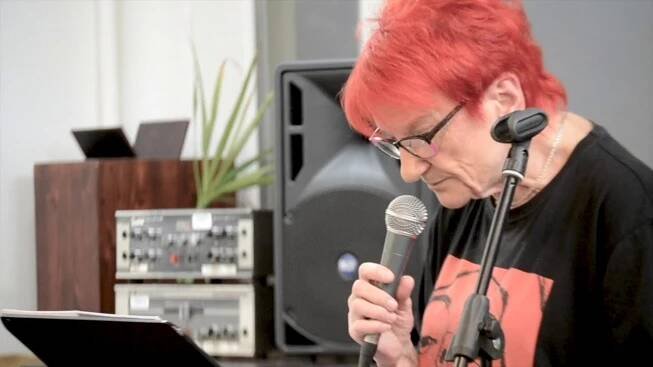 Jana Koubková, Ondřej Kabrna, Severočeská filharmonie Teplice - A začne to bzučet!
