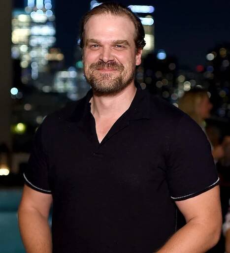 David Harbour Wants More 'Dad Bods' in Hollywood: 'I'm Sick of Twigs, Men and Women'