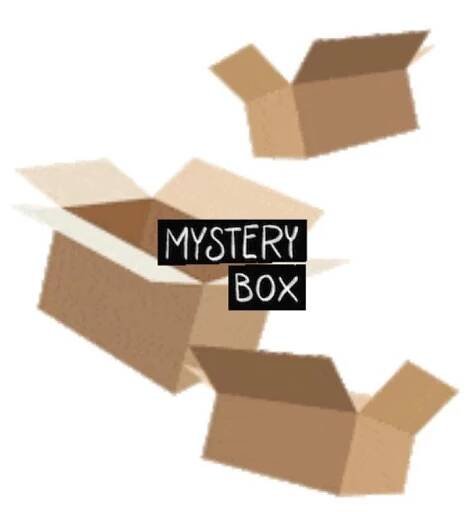 Apple Mystery Box