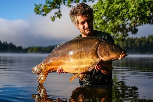 Media | Carp fishing on the river Lot. Unique boat fishing in France