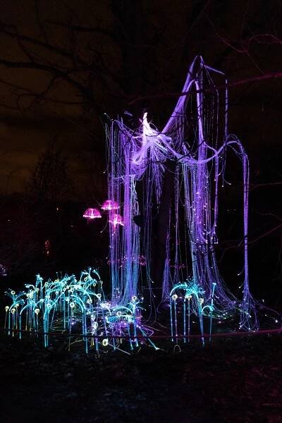 Lumina Park Praha | Alenka v říši divů – Journey to experience