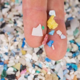 Marine debris – plastics pollution