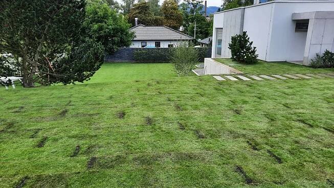 Pokládka travních koberců Agro - BeGARDEN od 210 Kč Krmelín BeGARDEN zahrady - návrhy a realizace zahrad • Firmy.cz