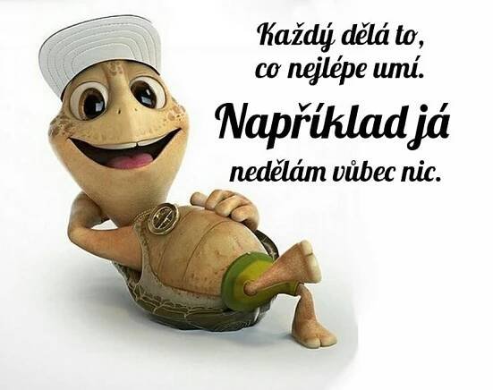 Profil uživatele rdasa - Fotogalerie :: Chatujme.cz 