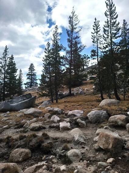 Reds Meadow