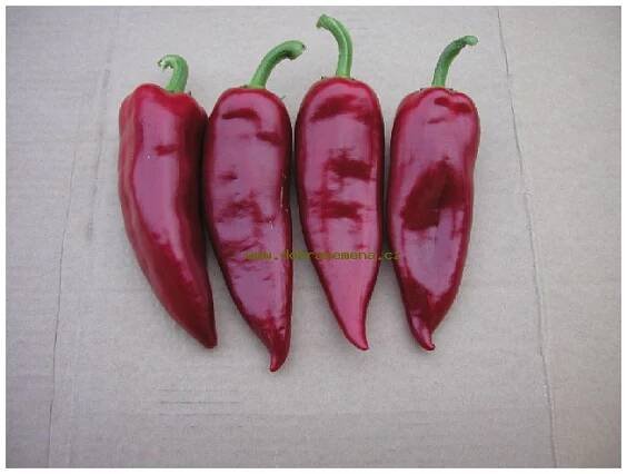 Paprika roční - LYDIA - 0,6 g | Dobrasemena.cz