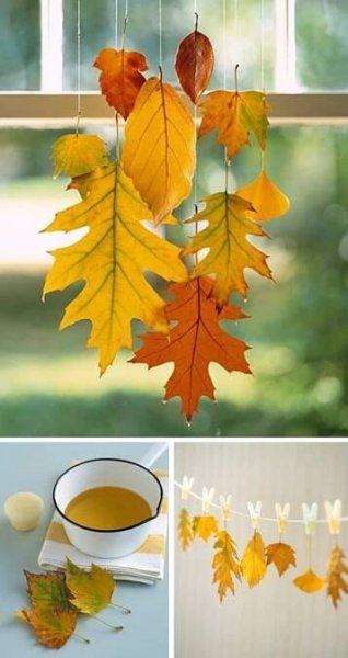 Preserve the beautiful autumn leaves by dipping them in beeswax! | Herbstdeko selber machen, Bastelideen, Basteln herbst