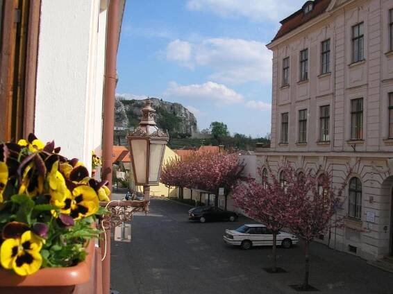 Penzion U Žabáka Mikulov Exteriér fotografie
