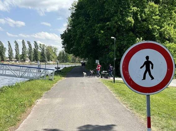Levobřežní cyklostezka podél Labe v Nymburce projde opravou a vznikne i nová část včetně lávky přes Staré Labe.