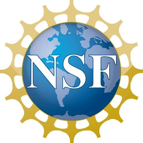 nsf logo - transparent background