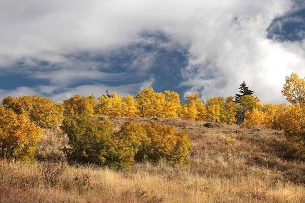 Boulder Mountains in Garfield County, UT.