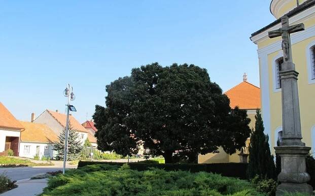 Čejkovice u Hodonína - počasí, ubytování, foto, obrázky, info, výlety, památky a zajímavosti