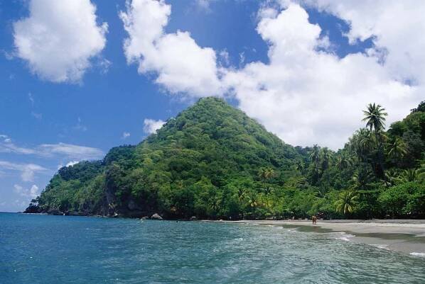 view of black sand beach with a tree-covered mountain in the distance