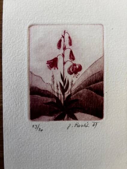 Josef Pavlik - grafika 10 | Aukro