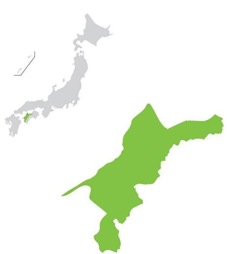 Ehime | Statistics
