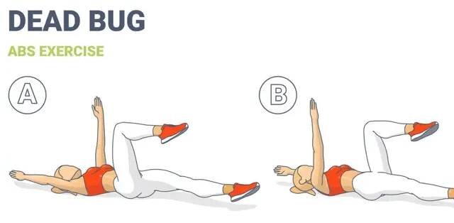 Toto je správné provedení cviků "Dead Bug":
