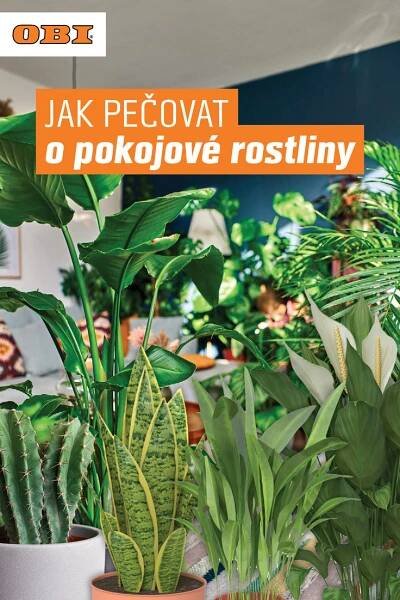 there are many potted plants on the shelf in this room with an orange sign that says jak pecovat o pokojjove rostiny