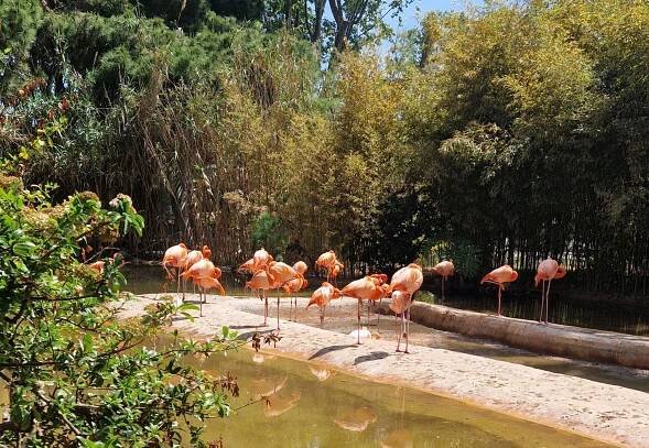 Barcelona with kids - Anne Travel Foodie