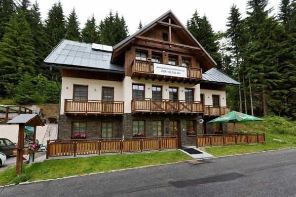 Hollmann 3*
