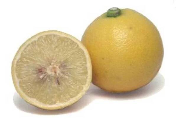 Bergamot / Byliny na dopisu B | Užitečné informace a tipy na péči o sebe. Zdraví, výživa a další.