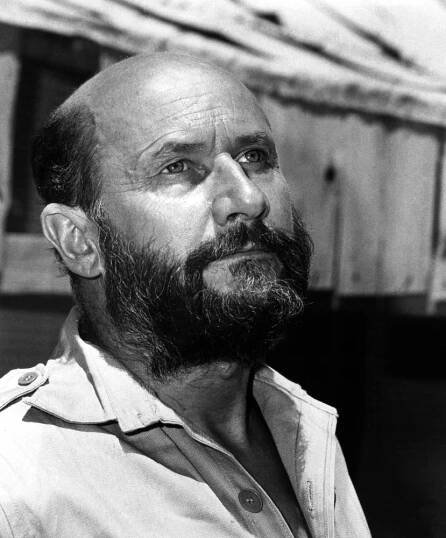 Donald Pleasence - Actor