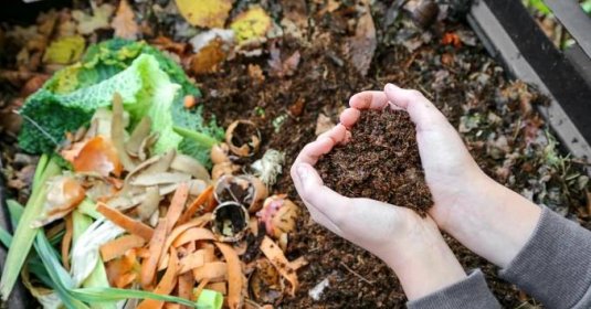 Kompost není univerzální dobro. V nadbytku může zahradě škodit