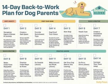 inforgraphic of a 14-Day Plan to going back to work