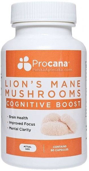 Lion's Mane Mushrooms 90 capsules