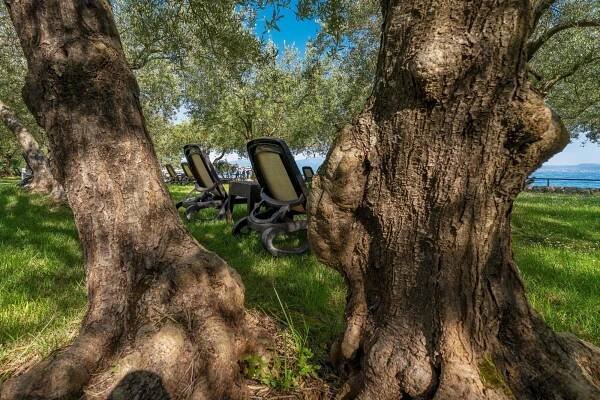 ****  Hotel Vila Rova Malinska Chorvatsko