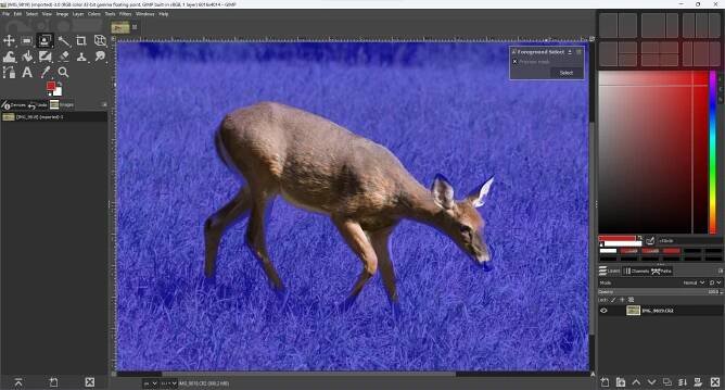 GNU Image Manipulation Program (GIMP)