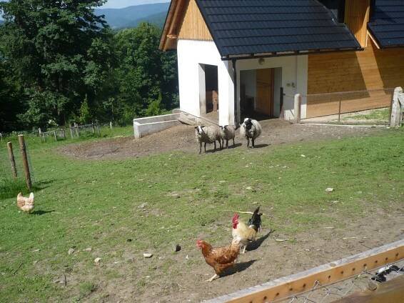 Školní rok v 1.B - ZŠ Javorník