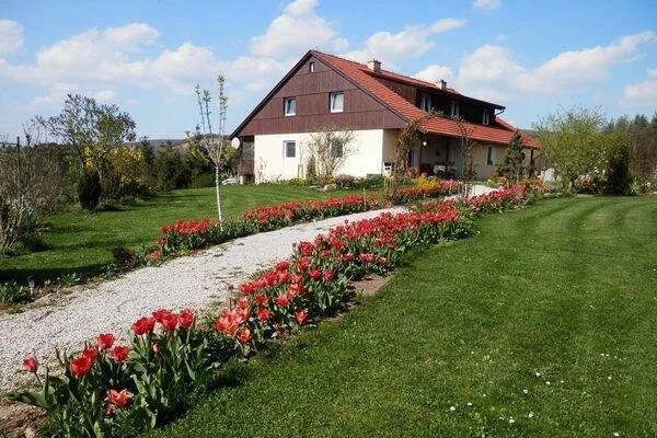 Apartmány Boroví foto 1