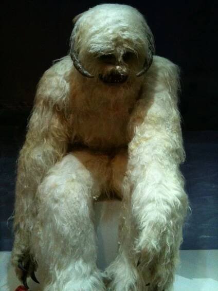 Wampa