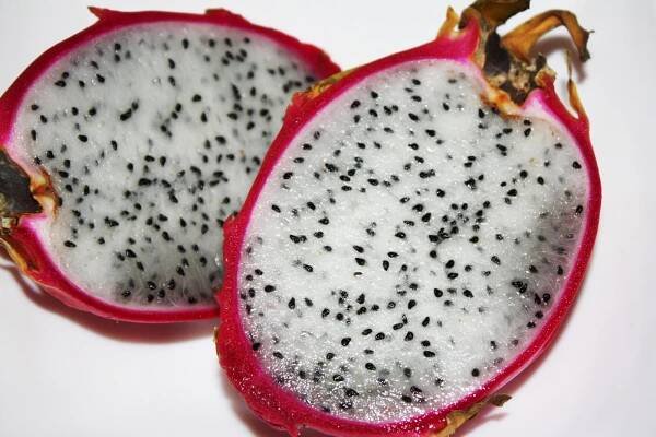 Pitahaya červená vs. zluta: Porovnání chuti a vlastností červené a žluté pitahayi 1