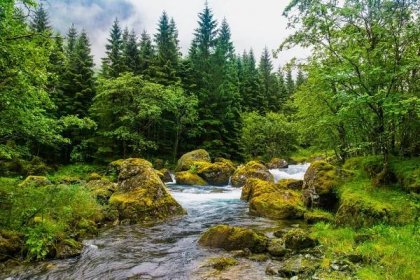 krásná řeka s velkými kameny v úžasném lese. poloha: skandinávské hory, norsko. umělecký obraz. svět krásy. - moss norway - stock snímky, obrázky a fotky