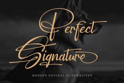 Perfect signature